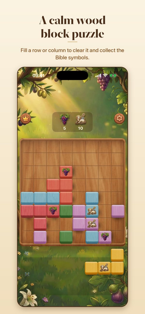 The wood block puzzle